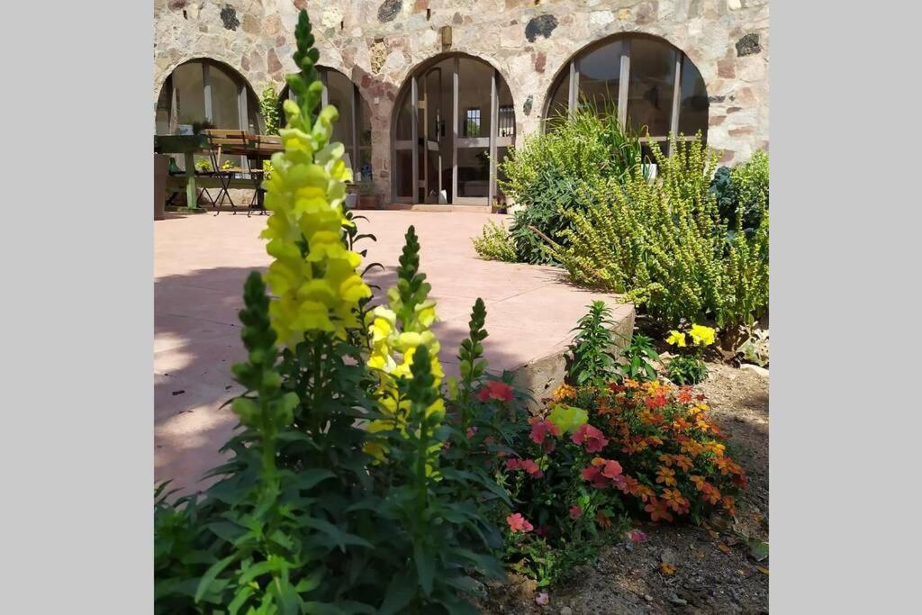 Eilat Stone - Patio אבן אילת - פטיו Διαμέρισμα Εξωτερικό φωτογραφία