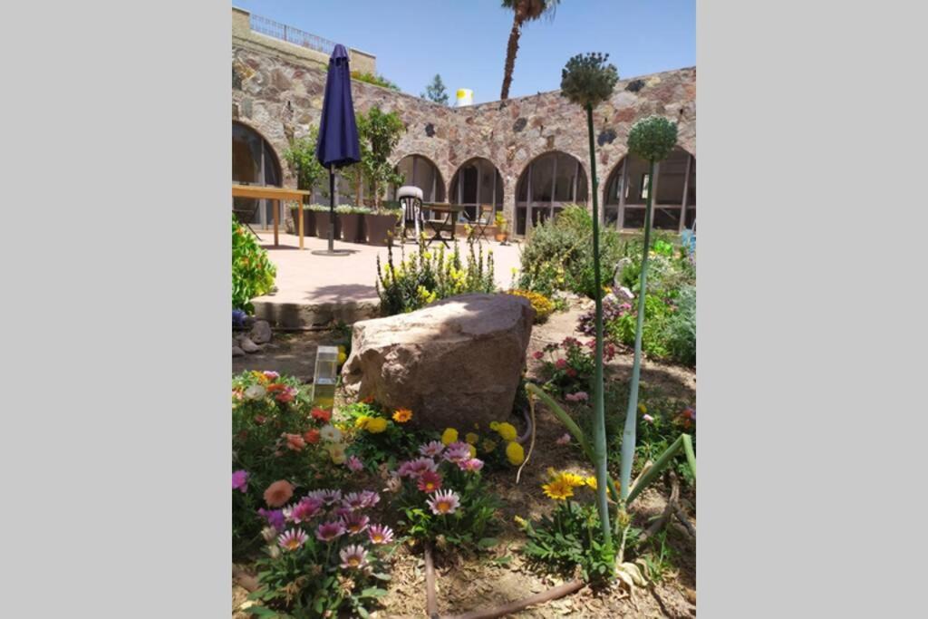 Eilat Stone - Patio אבן אילת - פטיו Διαμέρισμα Εξωτερικό φωτογραφία