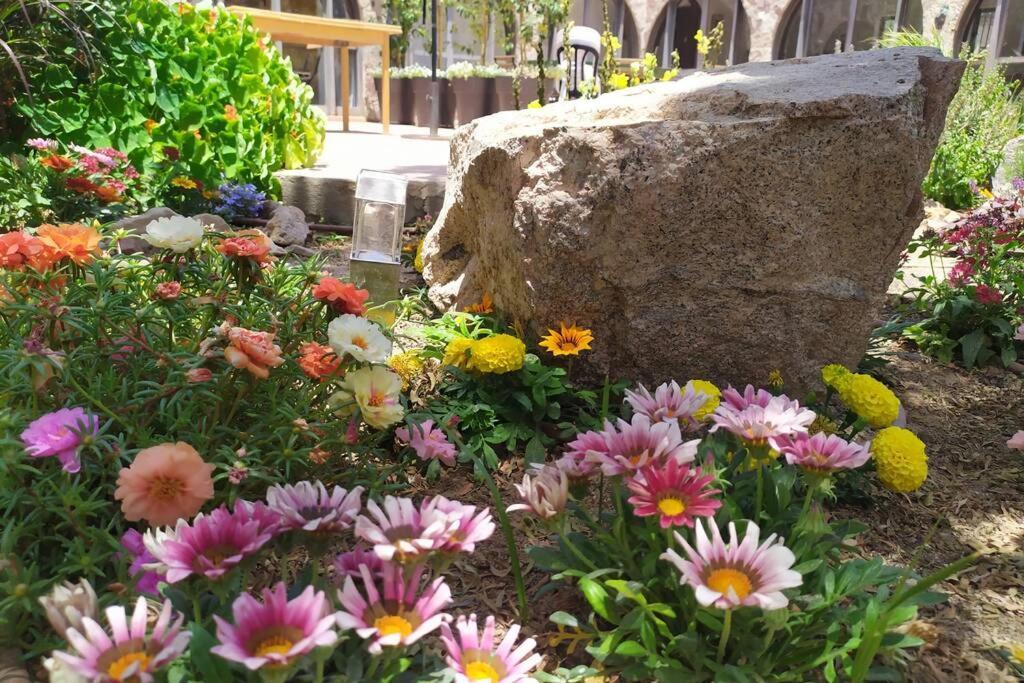 Eilat Stone - Patio אבן אילת - פטיו Διαμέρισμα Εξωτερικό φωτογραφία