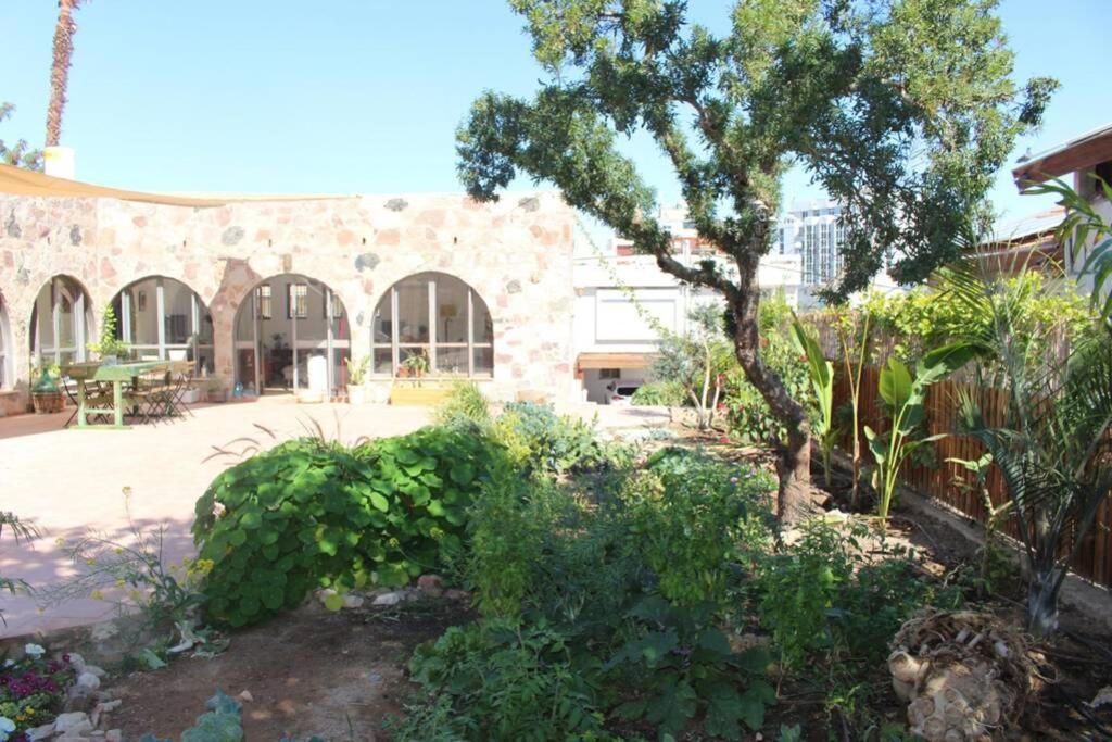 Eilat Stone - Patio אבן אילת - פטיו Διαμέρισμα Εξωτερικό φωτογραφία